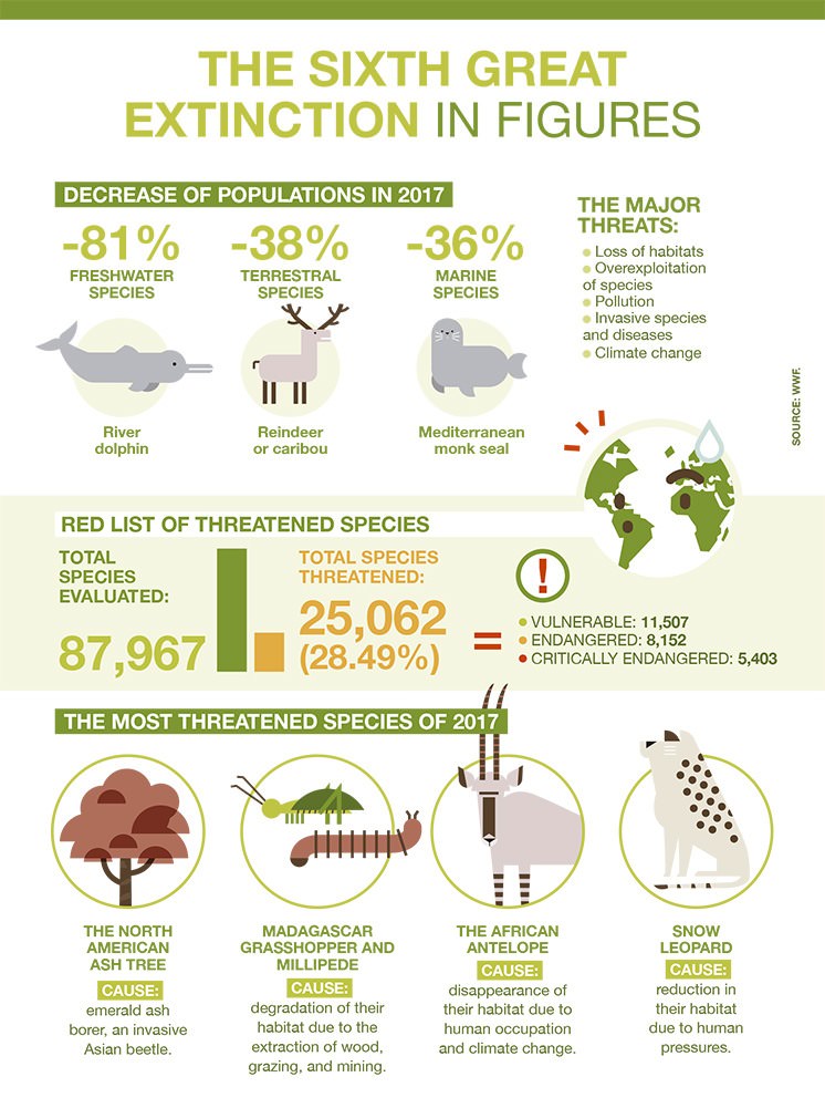 VivianForero3's tweet photo. #Lesson11 great post about possible animal extinction, more info: https://t.co/BDkC0ciyh9 #ClimateChange #WarmingEarth https://t.co/b4I9lw6tF2