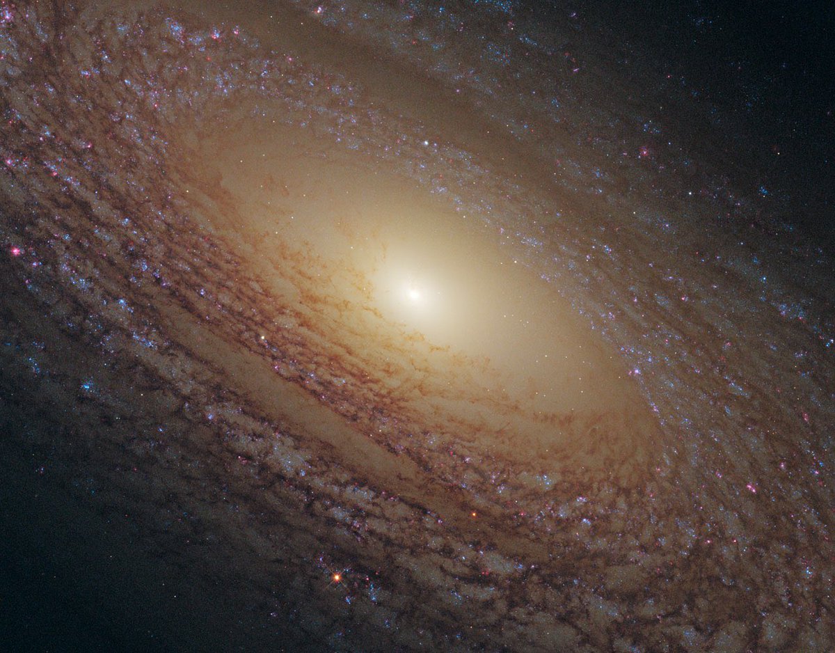 The galaxy NGC 2841 is a “flocculent spiral.”Flocculent.Image: NASA, ESA, Hubble Heritage (STScI/AURA)-ESA/Hubble Collaboration Acknowledgment: M. Crockett & S. Kaviraj (Oxford University, UK), R. O'Connell (UVA), B. Whitmore (STScI), WFC3 Scientific Oversight Committee.