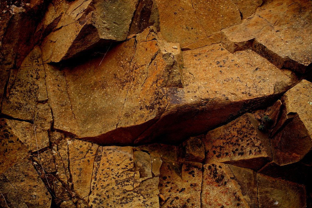 merumpriorati's tweet photo. Pobresa orgànica al Priorat https://t.co/mduGHjAnh3