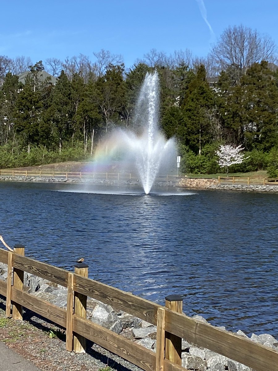 It’s such a beautiful day, I had to take Rudy for a walk around our neighborhood lake.  We even saw 🌈s in the fountains!! <a href="/BonnieBraeES/">Bonnie Brae ES</a>  #scottiepride #freshair