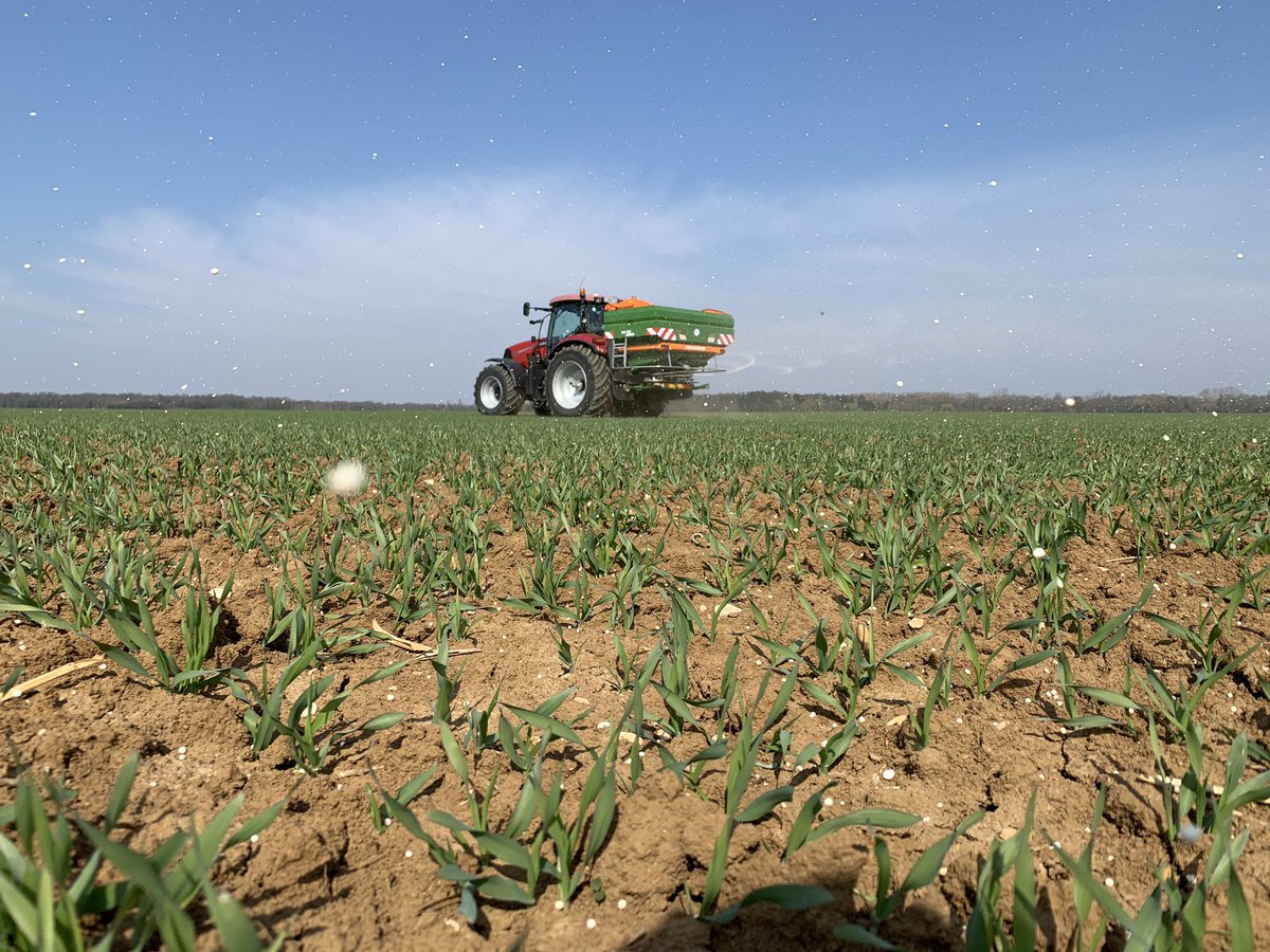 #CONFINEMENTJOUR10 on continue de prendre soin de nos cultures si on veut fêter la fin du confinement avec une bonne bière 🍻 <a href="/agriloving/">Agriloving</a> <a href="/AGPB_Cerealiers/">AGPB - Céréaliers de France 🌾</a> <a href="/DijonCereales/">Dijon Céréales</a> <a href="/baptistecolson/">Colson Baptiste</a> <a href="/VictorSchneid/">Victor SCHNEIDER</a> <a href="/BrasseursFrance/">Brasseurs de France</a> @CoopdeFrance