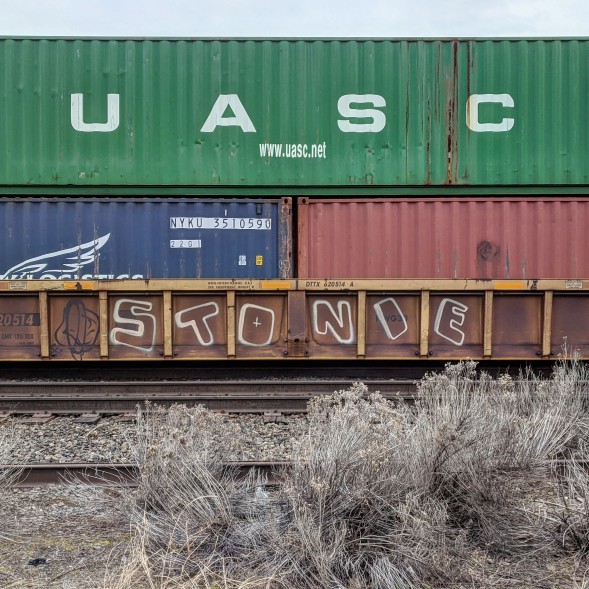 GraffitiExpress's tweet photo. stonie
#kamloops #train #graffiti #art 
#stonie https://t.co/vzL4wSSCw1