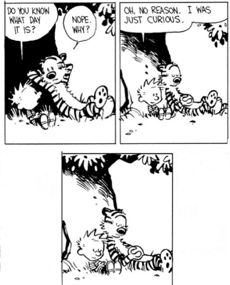 jayneanneonly's tweet photo. To all those writers out there working on novels, stories, poems, who stopped newspapers &amp; limit social media, &amp; have a tiger to talk to. And a tree, or imaginary tree. #imaginarytree #timetravel #writers ⁦@YaddoToday⁩ ⁦@MacDowellColony⁩ ⁦@VCCA⁩ https://t.co/BsX9R2Gs7f