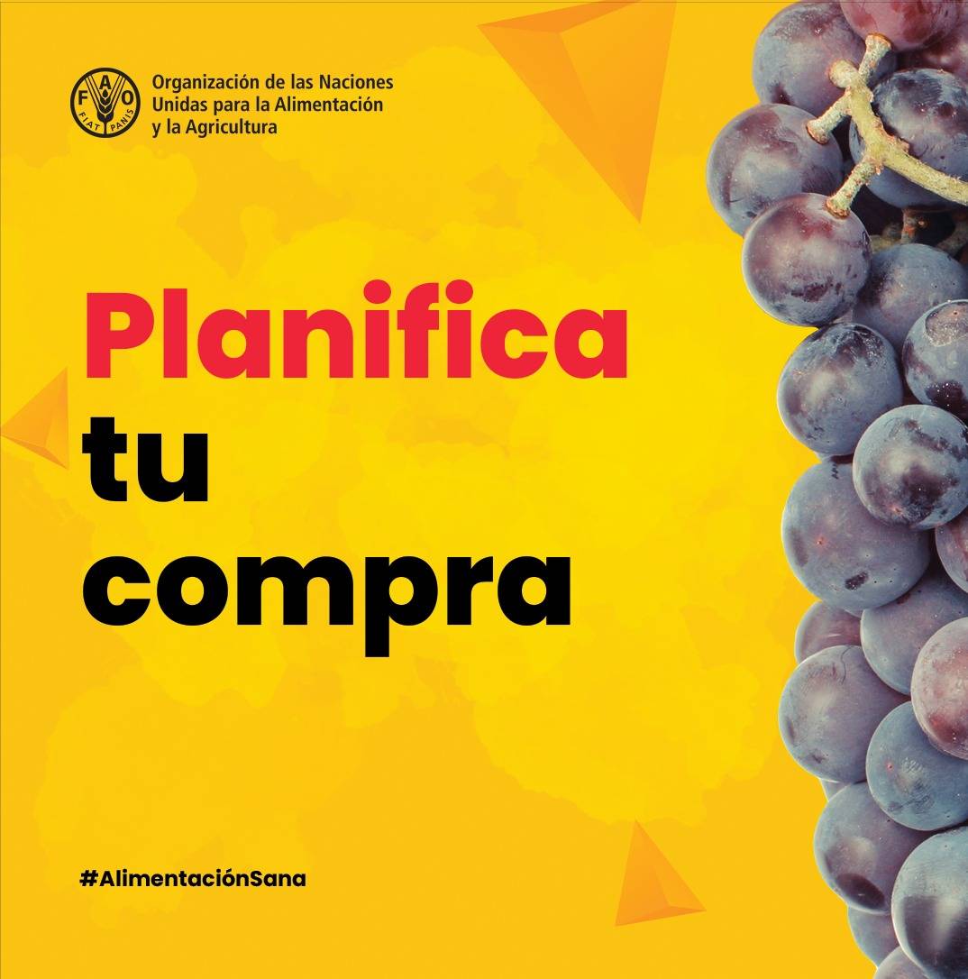 FAOPERU's tweet photo. Planificar tus compras es un acto de empatía con otros consumidores que también deben abastecerse. Ayuda a evitar el desperdicio de alimentos y mejorar la economía de tu hogar
#AlimentaciónSana
#COVID19
#CompraConsciente
#CompraMedido
👉https://t.co/Zv4nNb7Wbu https://t.co/tHMlGDo5Zy