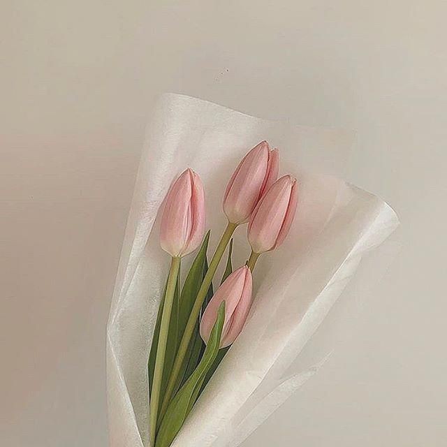 มองข้ามแล้วจะเสียใจ  יִ 🕊
             𝘣𝘦𝘭𝘭𝘰 𝘣𝘦𝘭𝘭𝘰 𓐄 สวัสดีคับทุกคน วันนี้เค้าจะมาหาคนเข้า ୨୧ เดมฝากร้าน ୨୧  🕯𓐄 ˓ 𝘮𝘦𝘯𝘵𝘪𝘰𝘯 ชื่อแอค + 𝘳𝘵 ทวิตนี้เลยค่ะ ˒ มากันเยอะๆเลย 🥛 

    ៵ ยพท. Rt ตามทักค่ะ ៵