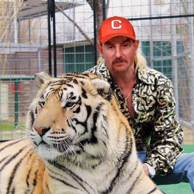 clemsonligers's tweet photo. #NewProfilePic https://t.co/cKIw3qwFAS