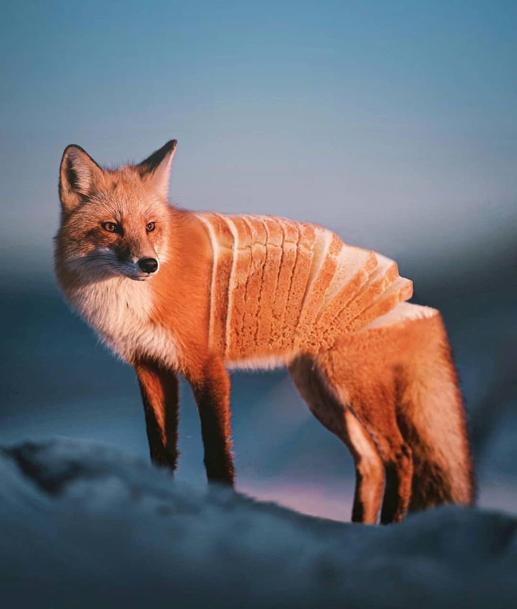 Criatives's tweet photo. O artista Ronald Ong faz um mix criativo de objetos, alimentos e animais mostrando a semelhança no formato de alguns.
Via: @ronnaldong https://t.co/D814TctRJy