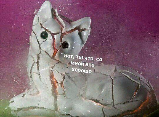 yoursuga_'s tweet photo. весь мир омегаверс, а я в нем бета https://t.co/S4kwjhxh8X