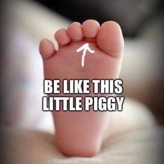 Today's virtual meeting is starting at Noon! zoom.us/j/582913803