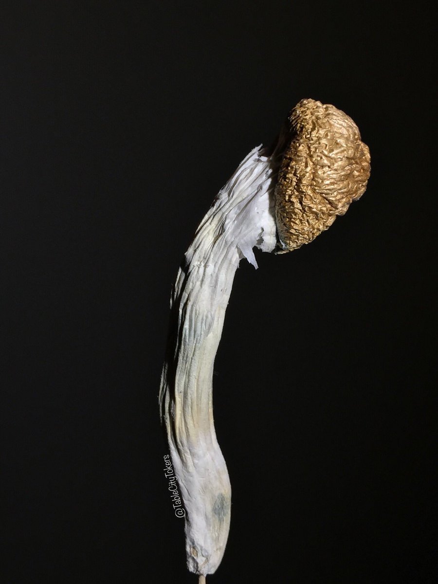 TableCityTokers™️ tweet media