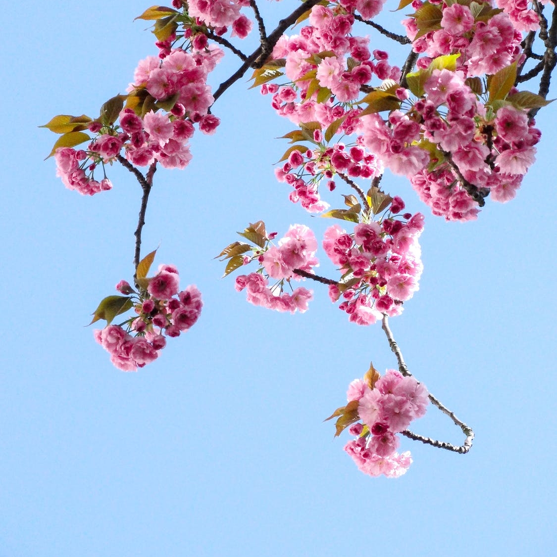 Spring is finally here which means its time to update your shoe wardrobe. 🌺

With a wide variety of brands on offer from FitFlop to Gabor, Rieker and Clarks we will have your feet covered whatever the weather.

Check Our Selection Today:  soo.nr/hPOM