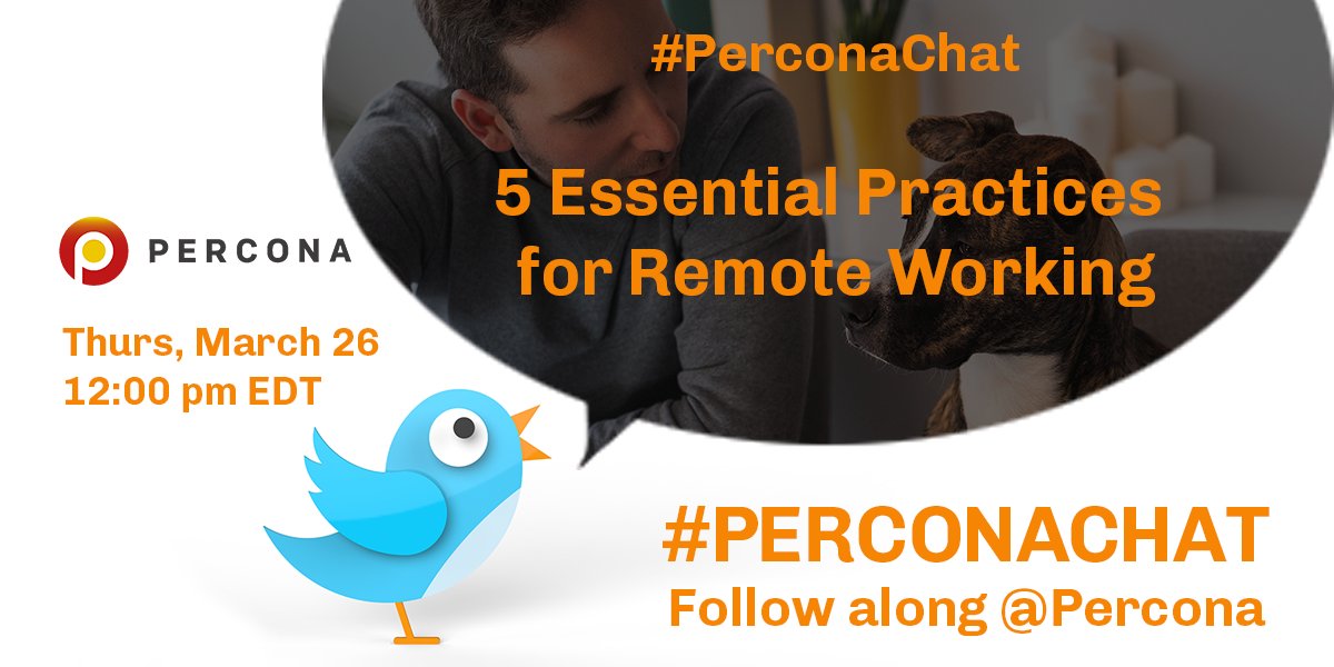 Percona's tweet photo. Welcome everyone to our #PerconaChat about “5 Essential Practices for Remote Working”. Thanks for joining us! We'll get started with some questions in just a minute, but in the meantime, tell us: Where are you tweeting us from? #remotework #workfromhome #perconahelp #workingrem https://t.co/t6vkktYYPx