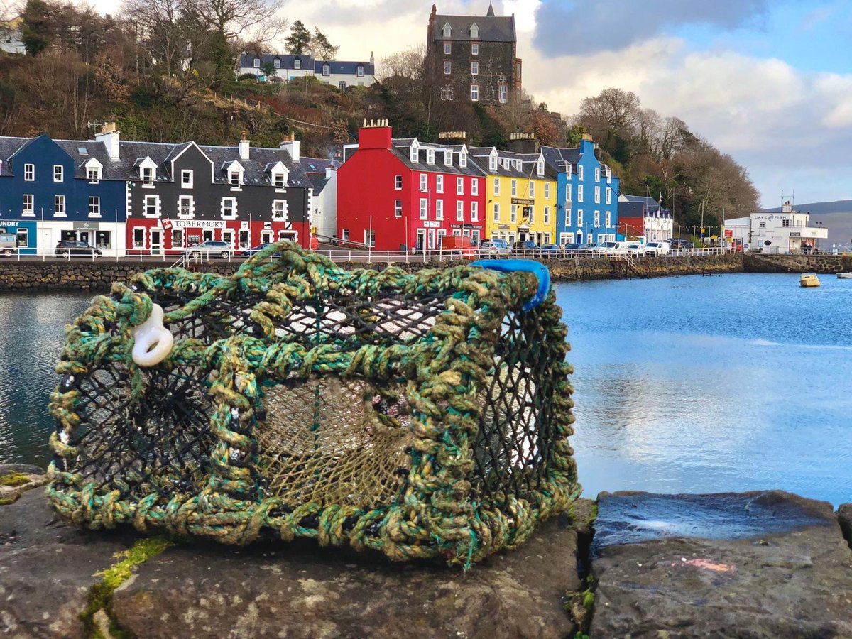 We are proud of our #culture and #values stemming from our #heritage as a Highland and Island company

#commercialfishing #aquaculture #Scotland #Exporter #Mull #Tobermory #Creels #TBT #ThrowBackThursday