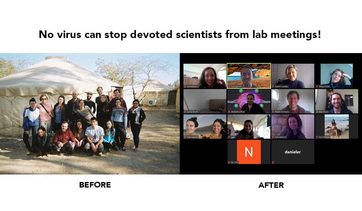 #landaulab #quarantine #Covid_19 #ScienceFromHome <a href="/AyeletLandau/">Ayelet Landau 🟣 @ayeletlandau.bsky.social</a>