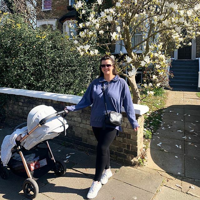 Connie Simmonds tweet media