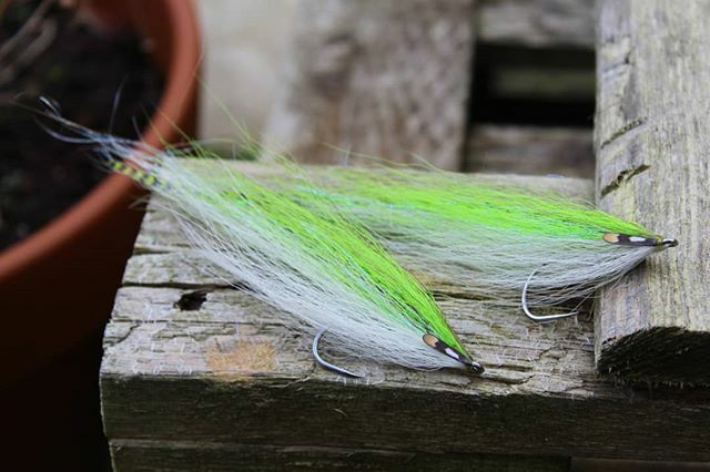RHarvey_ukflies's tweet photo. Dirty Chartreuse hollows ..#seabassflies #saltwaterflies #saltwaterflytying #fishwithteeth #funkyflytying #rupertharveysflies #irishbass #customflies https://t.co/4ab5Km1RSC https://t.co/cmSVc62Ln4
