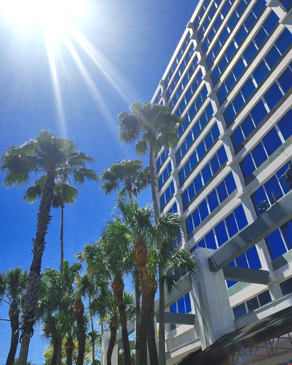 BarrymoreHotel's tweet photo. Government and military personnel save 15% at the Barrymore with our current featured offer. Simply select "Government Discount" when you book online at https://t.co/YcsvlWtWwT. #governmentdiscount #militarydiscount #supportlocal #downtowntampa https://t.co/p1DGgoHXfl