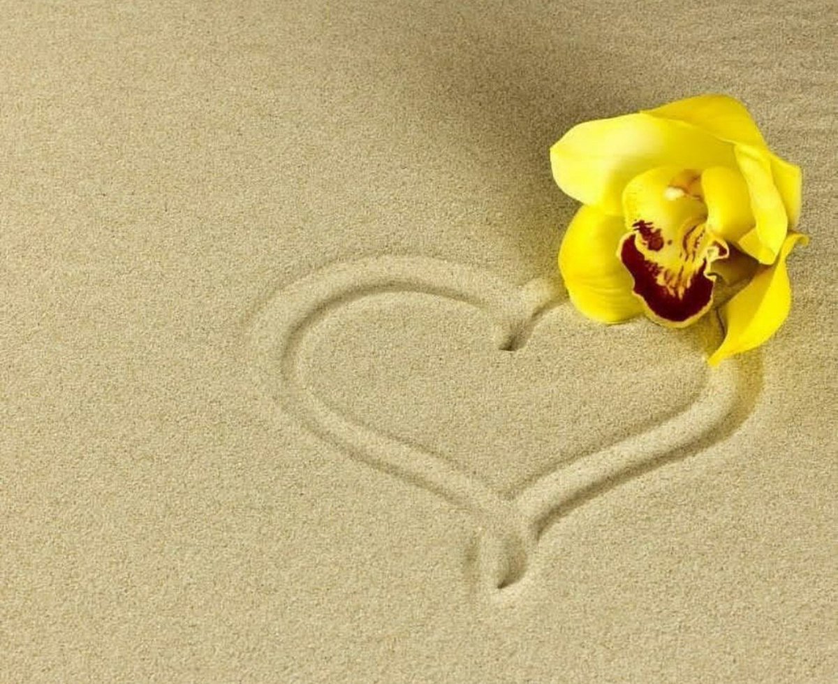 "واعلم أنَّ جِهادَكَ الأشدّ فِي هَذِه الحَياة هُو قلبُك، فَشُدّ وثَاقهُ واسْتقِم "