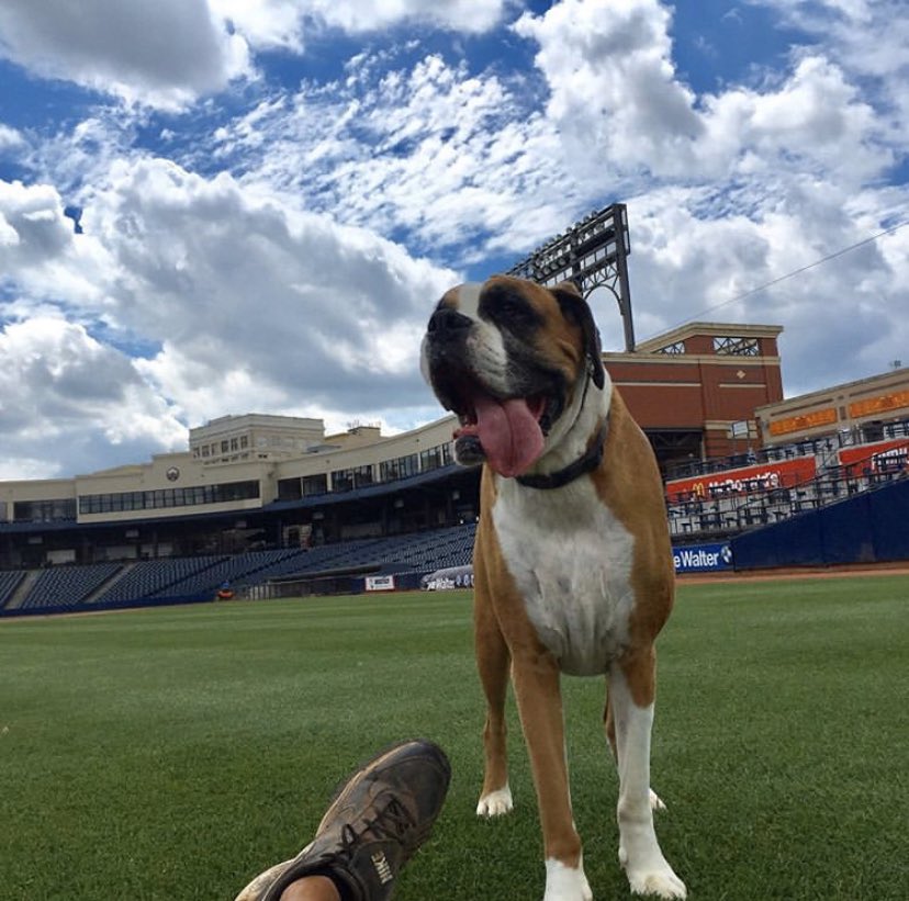 Akron RubberDucks tweet media