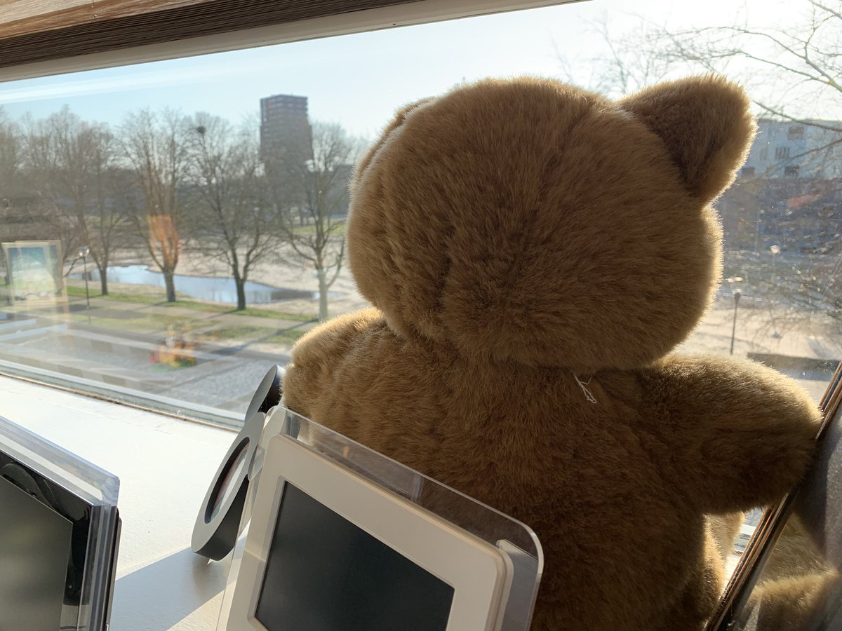 rdeweijer's tweet photo. Voor de kinderen in #meerhoven #berenjacht #Eindhoven Waar zit ik? Tipje: in een bosrijke omgeving. https://t.co/eYHBjn9JI2