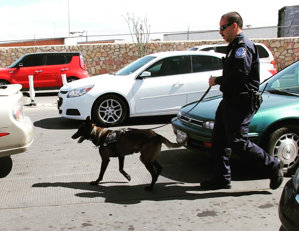 DFOElPaso's tweet photo. Meet Narcotic Detector Dog Sony. Sony is a 4 year old Belgian Malinois assigned to the El Paso Field Office. Sony is a hardworking, fun spirited K9 with over 3,020 pounds of narcotics seized in his short career. Thank you for your service Sony. #K9 #narcoticsdog #CBP https://t.co/MJumzBR3Ex