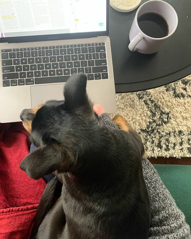 mgnhnsn's tweet photo. A Peach a day keeps the doctors away 🍑🐶#DailyPeach https://t.co/1ZJfeJ3U8t https://t.co/3PnMmraAVC