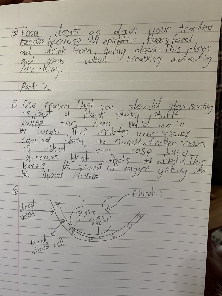 Science homework going on in the Makin household today. Well done Sam. <a href="/sherburnhigh/">Sherburn High School</a> <a href="/sherburnscience/">SHS Science</a>