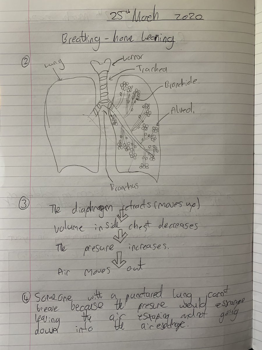 melaniemakin's tweet photo. Science homework going on in the Makin household today. Well done Sam. @sherburnhigh @sherburnscience https://t.co/WQpeAXmbGJ