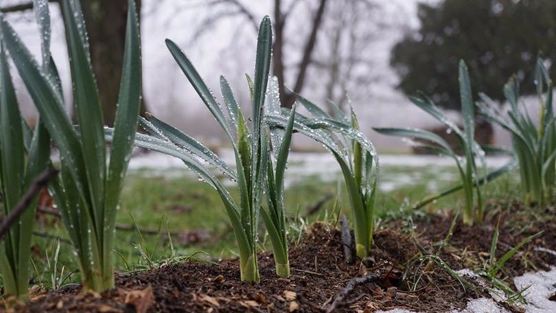 SummitFPC's tweet image. It&apos;s time to take action - mailchi.mp/7f6a8433f568/b…