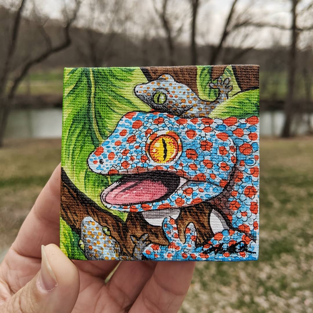 ARobinsonArt's tweet photo. #tokaygecko #tokaygeckos #tokaygeckoart #geckogecko #tokay https://t.co/oxdZUIecHB