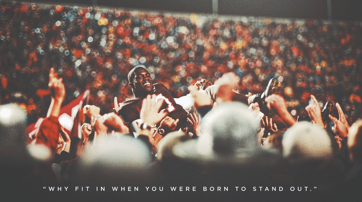 Justin Hamilton tweet media