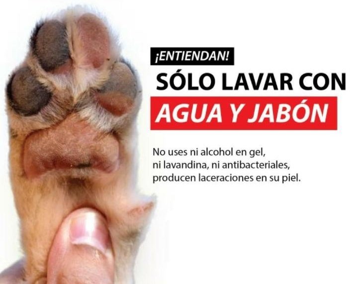 sobredxsis's tweet photo. me parece importante que recordemos esto https://t.co/2VwSq2vPhQ