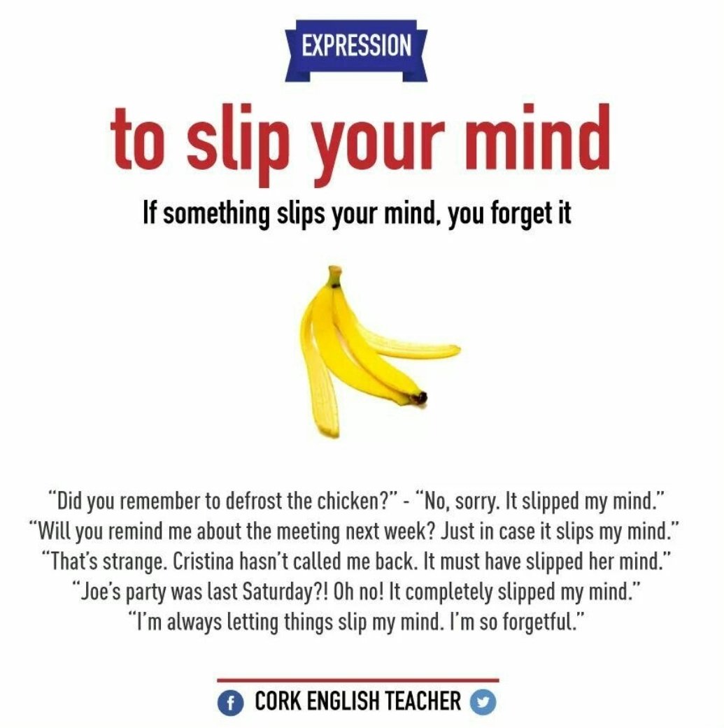 Slip and fall reasons. It was a slip of a. Slipped my mind. It was a slip of a. Black flag slip it in.