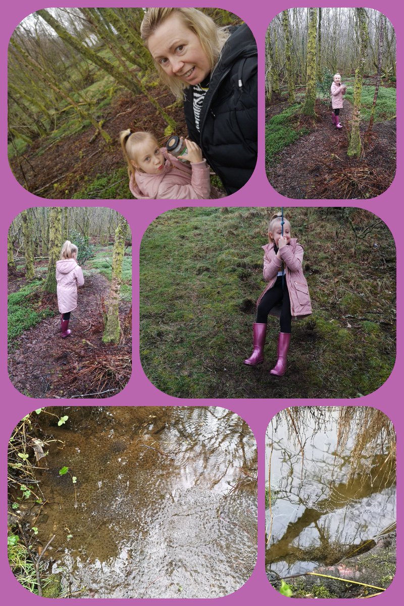 Leannmac33's tweet image. Day 4 : Outdoor learning, frogspawn, spring time, natural enviroment. #Homelearning2020 #lifecycles #HealthandWellbeing @MissTait4
