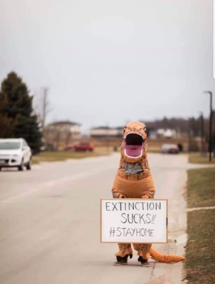 Roberta The Rex tweet media