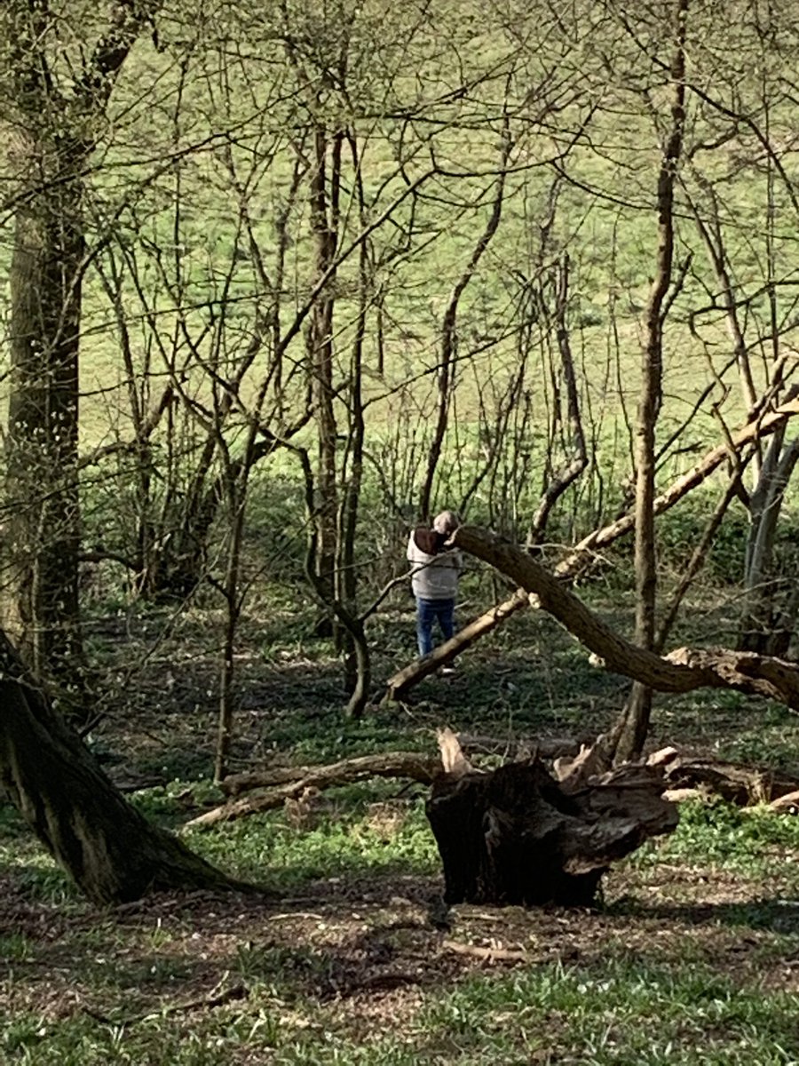 tracey_hampson's tweet photo. @TewinCowper a bit of forest schooling happening this afternoon. Would be rude not to with this glorious weather 😊 https://t.co/cMxKj01lcJ