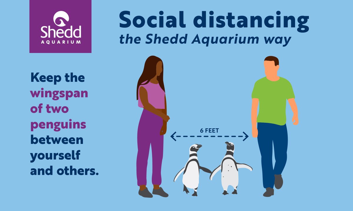 shedd_aquarium's tweet photo. You must stand "this many" penguins away. 🐧🐧 https://t.co/cyh8CaDGbd