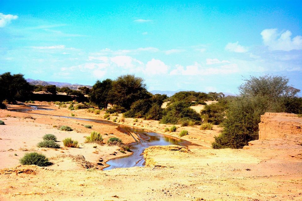 WeAreWilderness's tweet photo. The river is running 
#hoanibskeletoncoastcamp
#hoanibriver
#wearewilderness
#wildernesstogether

Image by Moses Sheehama https://t.co/EOCz6a3r7W