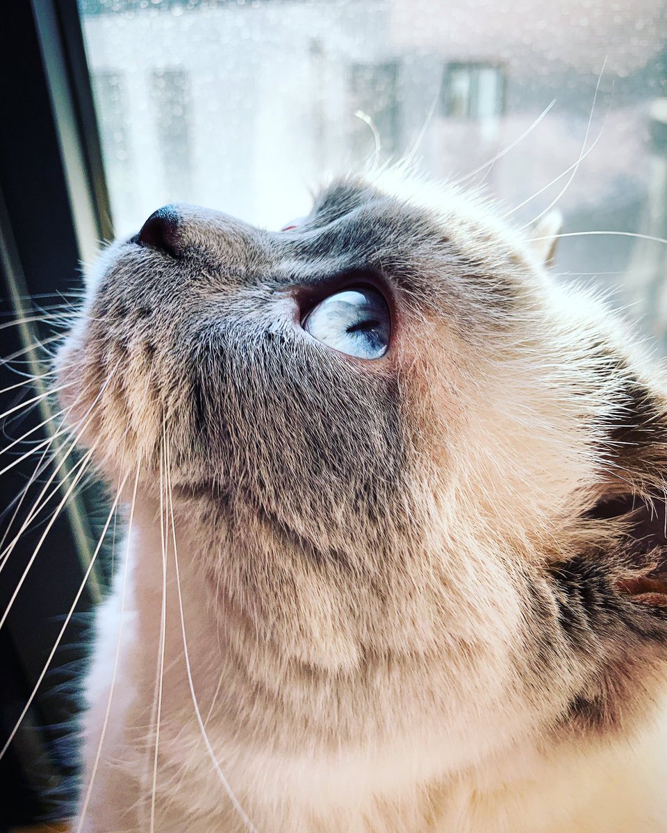 kenmoens's tweet photo. Baby boy smells fresh air 😻❤️ https://t.co/8ZZc7q88VT
