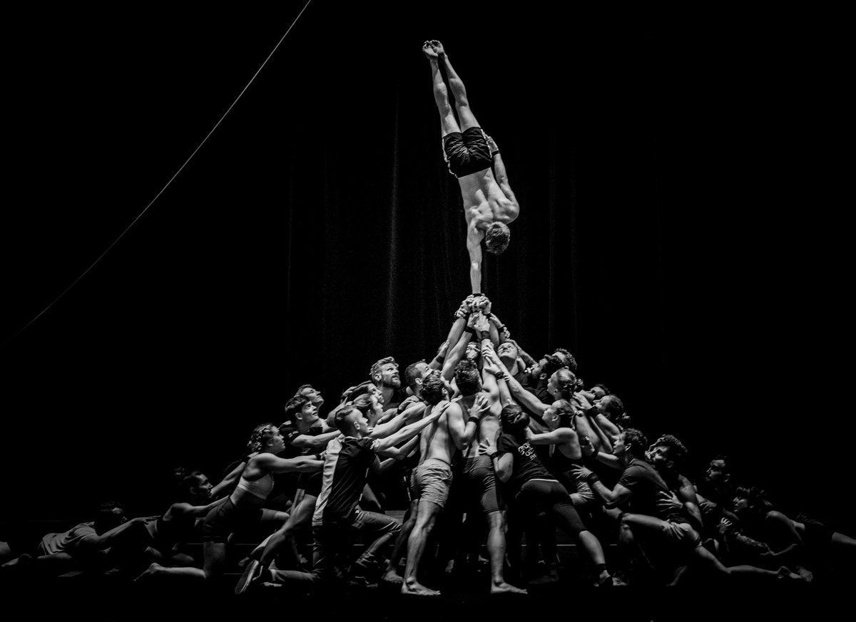 AuroraNovaOrg's tweet photo. The acrobats from @GOM_Circus are really good at supporting each other. Now you have the opportunity to support them too! https://t.co/5BGocm6hCv #circus https://t.co/LaYbM4zLal