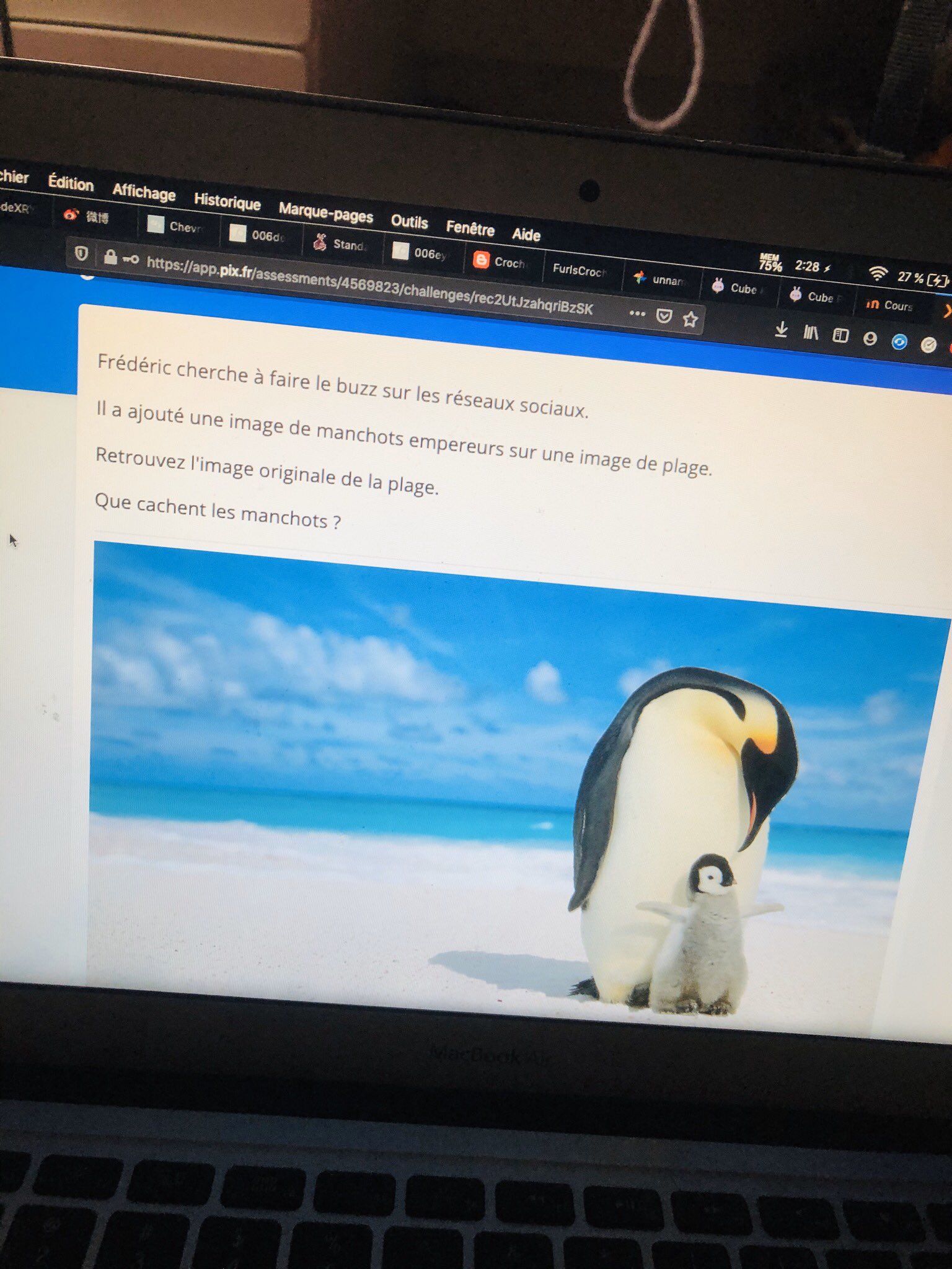 Manchot Plage Pix Sujin🌻 on X: "J'ai une matière à la fac qui s'appelle Culture Numérique. Pour la valider, j'ai des centaines de questions auxquelles je dois repondre. Précision : je suis en LANGUES. Best-of