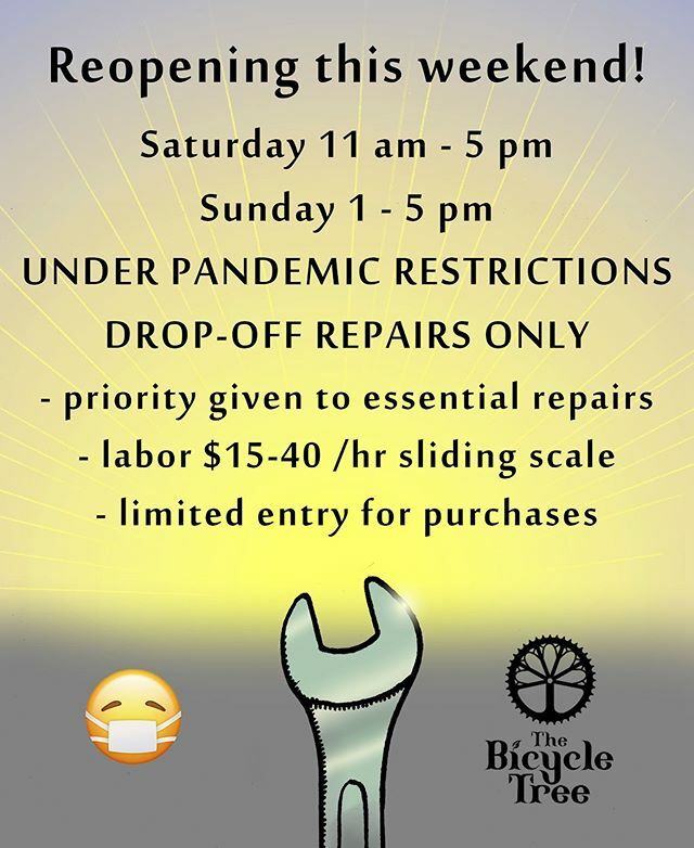 The Bicycle Tree tweet media