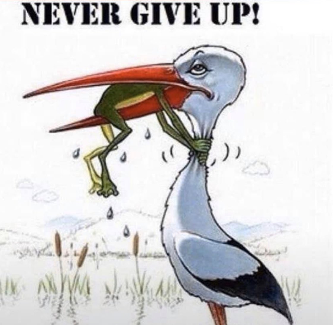 AVCommitted's tweet photo. https://t.co/mJKtpIrLuj