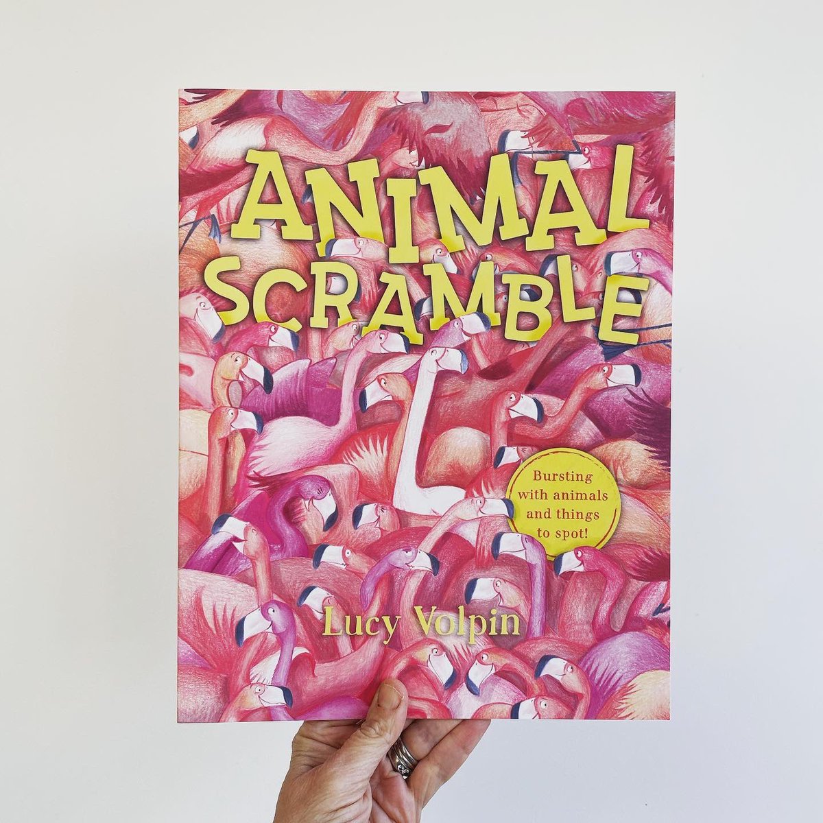 bookgiftblogger's tweet photo. Can you spot the yawning lion 🦁 or the five fruits hidden among the apes 🦍 #Animalscramble 🦩 by @LucyVolpin is jam-packed with animals and plenty of things to find @templarbooks https://t.co/lL6byHqc5B