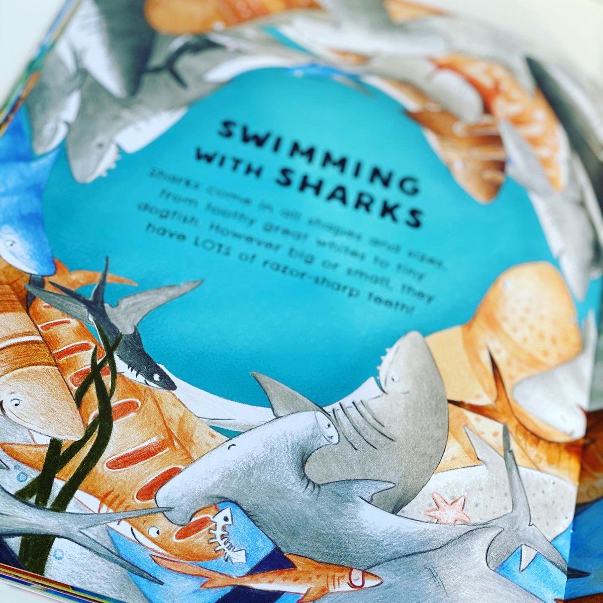 bookgiftblogger's tweet photo. Can you spot the yawning lion 🦁 or the five fruits hidden among the apes 🦍 #Animalscramble 🦩 by @LucyVolpin is jam-packed with animals and plenty of things to find @templarbooks https://t.co/lL6byHqc5B