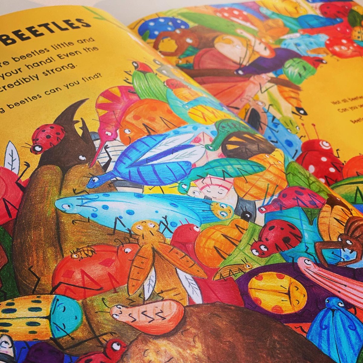 bookgiftblogger's tweet photo. Can you spot the yawning lion 🦁 or the five fruits hidden among the apes 🦍 #Animalscramble 🦩 by @LucyVolpin is jam-packed with animals and plenty of things to find @templarbooks https://t.co/lL6byHqc5B