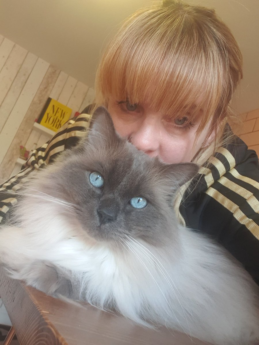Me and Ronnie Ragdoll #isolatiolife
