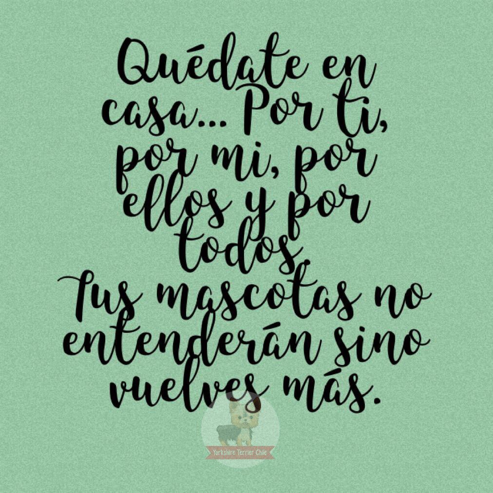 YorkshireTChile's tweet photo. #QuédateEnCasa https://t.co/79F5lk63c6
