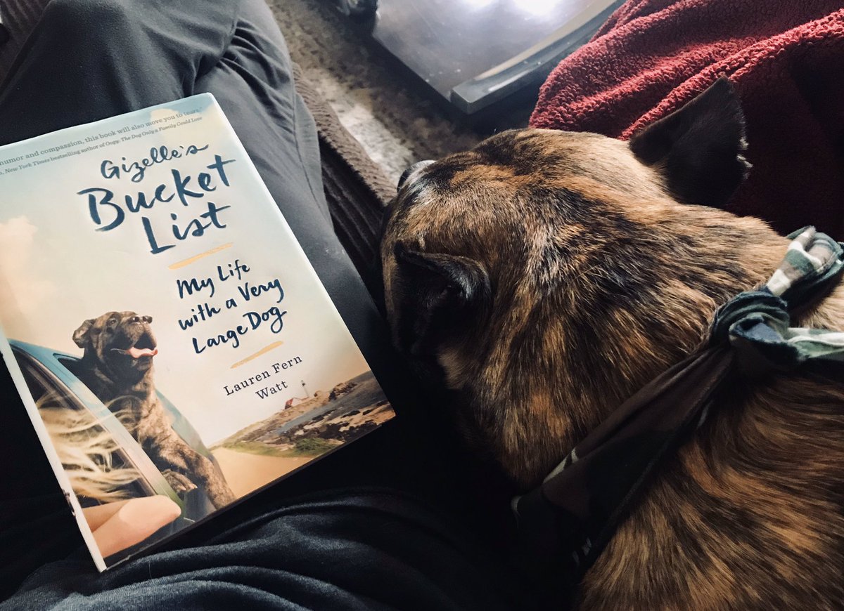 ArtWrighteous's tweet photo. @NESD Big Guy and I compared and contrasted Gizelle’s life as a very large dog and his life as a very large dog💙🐾 #NEVirtualSpiritWeek #BobcatProud https://t.co/hxyILvRsdA