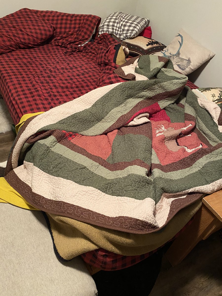 eggjuggler's tweet photo. I know this probably just looks like an unmade bed owned by a lazy person but it’s actually an elaborately designed cat trap https://t.co/6zfdyOW1xa